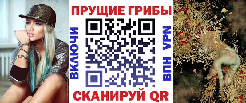 OMG сайт Кострома Псилоцибиновые грибы Cubensis